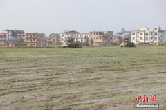 机械化插秧显身手   湖南蓝山早稻移栽跑出“加速度”