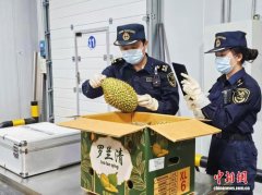 一季度中老铁路进出口货值超68亿元 同比增长62.7%