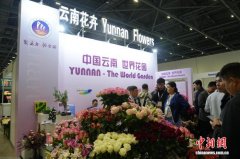 阿斯塔纳鲜花展上的“云南风”